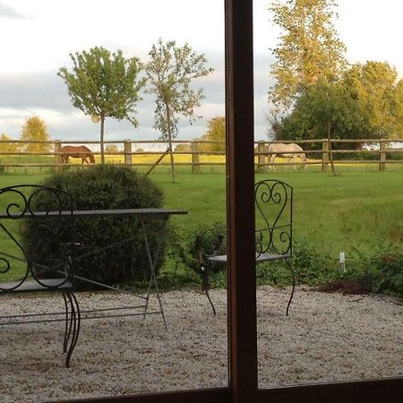 Haras Des Leudets Bed & Breakfast Blangy-le-Chateau Luaran gambar